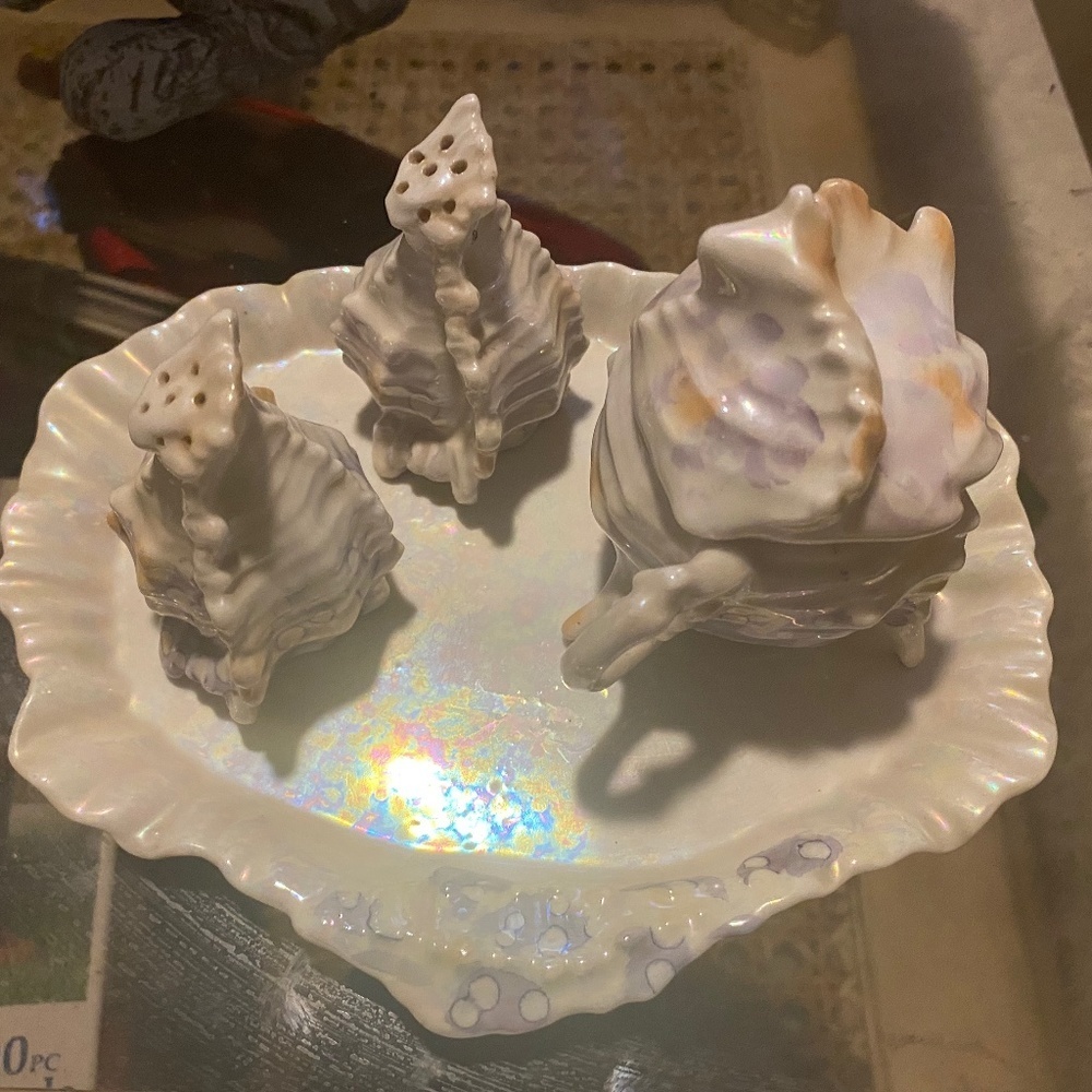 Elegant Iridescent Shell Dish Set